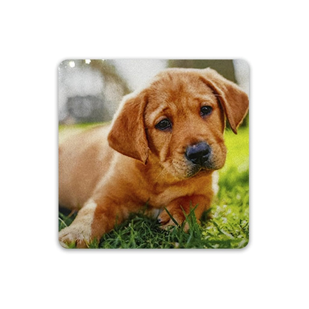 Aluminium Magnet Gloss - Sublimation Blank