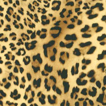 Poli-Flex® Image Design — Wild-Pattern Poli-Tape Heat Transfer Vinyl